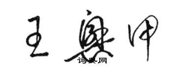 駱恆光王興甲草書個性簽名怎么寫