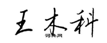 王正良王木科行書個性簽名怎么寫