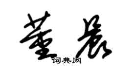 朱錫榮董晨草書個性簽名怎么寫