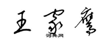 梁錦英王家鷹草書個性簽名怎么寫