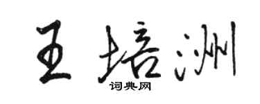 駱恆光王培洲行書個性簽名怎么寫