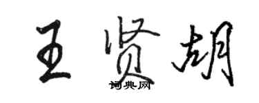 駱恆光王賢胡行書個性簽名怎么寫