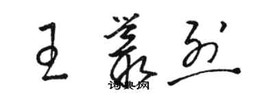 駱恆光王叢烈草書個性簽名怎么寫