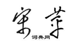 駱恆光宋苹草書個性簽名怎么寫