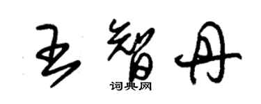 朱錫榮王智丹草書個性簽名怎么寫