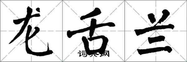 翁闓運龍舌蘭楷書怎么寫