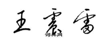 梁錦英王震雷草書個性簽名怎么寫