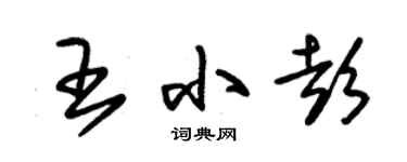 朱錫榮王小彭草書個性簽名怎么寫