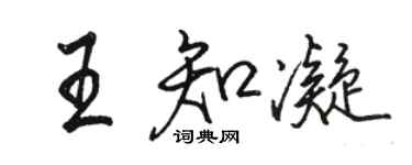 駱恆光王知凝行書個性簽名怎么寫