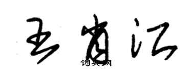 朱錫榮王肖江草書個性簽名怎么寫