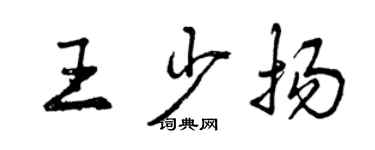 曾慶福王少揚行書個性簽名怎么寫