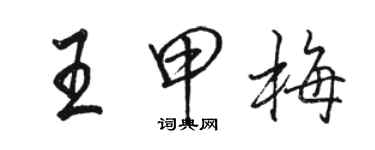 駱恆光王甲梅行書個性簽名怎么寫