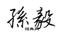 王正良孫毅行書個性簽名怎么寫