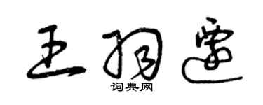 曾慶福王羽遷草書個性簽名怎么寫