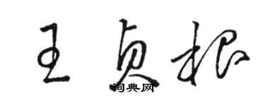 駱恆光王貞根草書個性簽名怎么寫