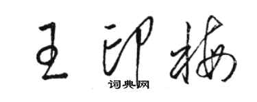 駱恆光王印梅草書個性簽名怎么寫