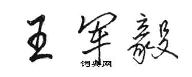 駱恆光王軍毅行書個性簽名怎么寫