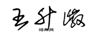 朱錫榮王升徽草書個性簽名怎么寫
