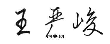 駱恆光王嚴峻行書個性簽名怎么寫