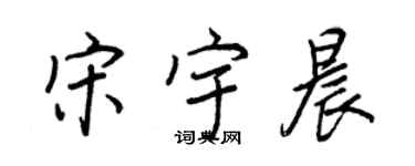 王正良宋宇晨行書個性簽名怎么寫