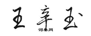 駱恆光王辛玉行書個性簽名怎么寫