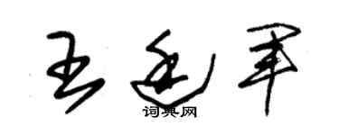 朱錫榮王廷軍草書個性簽名怎么寫