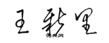 駱恆光王新里草書個性簽名怎么寫