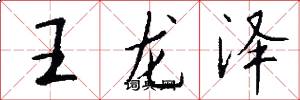 王龍澤怎么寫好看