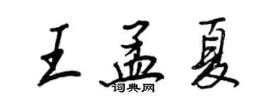 王正良王孟夏行書個性簽名怎么寫