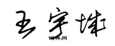 朱錫榮王宇城草書個性簽名怎么寫