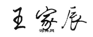 駱恆光王家辰行書個性簽名怎么寫