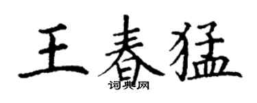 丁謙王春猛楷書個性簽名怎么寫