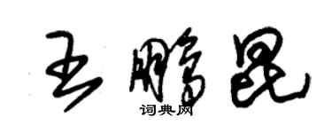 朱錫榮王鵬昆草書個性簽名怎么寫