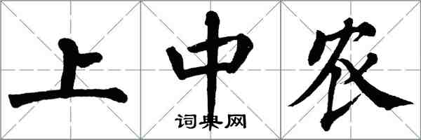 翁闓運上中農楷書怎么寫