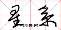 朱錫榮星系草書怎么寫