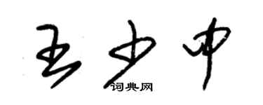 朱錫榮王少中草書個性簽名怎么寫