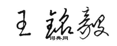 駱恆光王銘毅草書個性簽名怎么寫