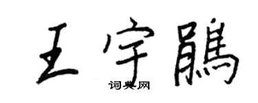 王正良王宇鵑行書個性簽名怎么寫