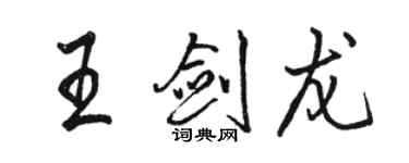 駱恆光王劍龍行書個性簽名怎么寫