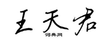 王正良王天君行書個性簽名怎么寫