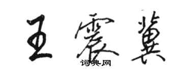 駱恆光王震冀行書個性簽名怎么寫