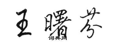 駱恆光王曙芬行書個性簽名怎么寫