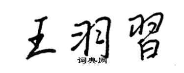 王正良王羽習行書個性簽名怎么寫