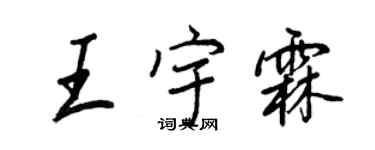 王正良王宇霖行書個性簽名怎么寫