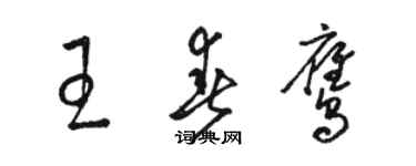 駱恆光王春鷹草書個性簽名怎么寫