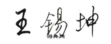 駱恆光王錫坤行書個性簽名怎么寫