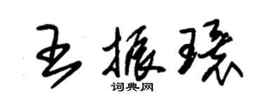 朱錫榮王振環草書個性簽名怎么寫