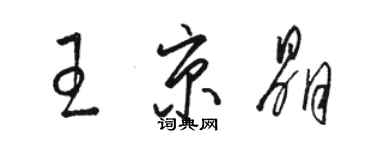 駱恆光王京晶草書個性簽名怎么寫