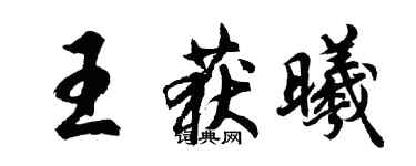 胡問遂王獲曦行書個性簽名怎么寫