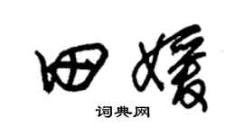 朱錫榮田媛草書個性簽名怎么寫